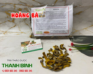 hoang-ba-tai-thao-duoc-thanh-binh.jpg