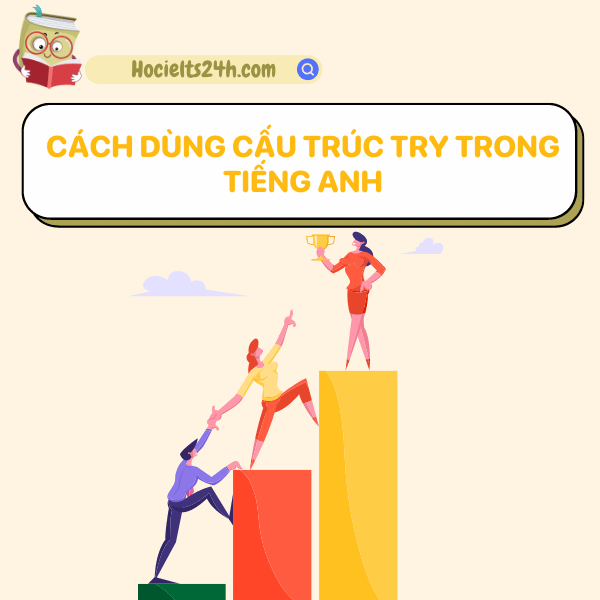 cach-dung-cau-truc-try.png