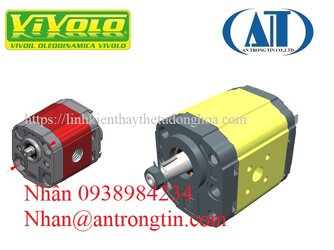 động cơ thủy lực Vivolo.jpg