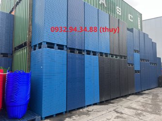 pallet nhựa tại Bình Dương (2).jpg