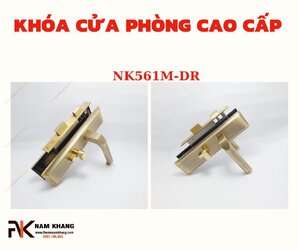 khoa-cua-chinh-cao-cap-nk561m-dr-fhomenamkhang.jpg