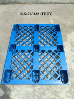 pallet nhựa tại Tiền Giang (3).jpg