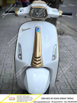 dan-keo-xe-vespa-sprint-trang-1.jpg