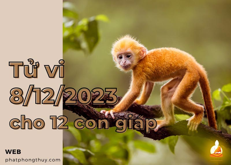 tu-vi-ngay-8-12-2023-cua-12-con-giap.jpg