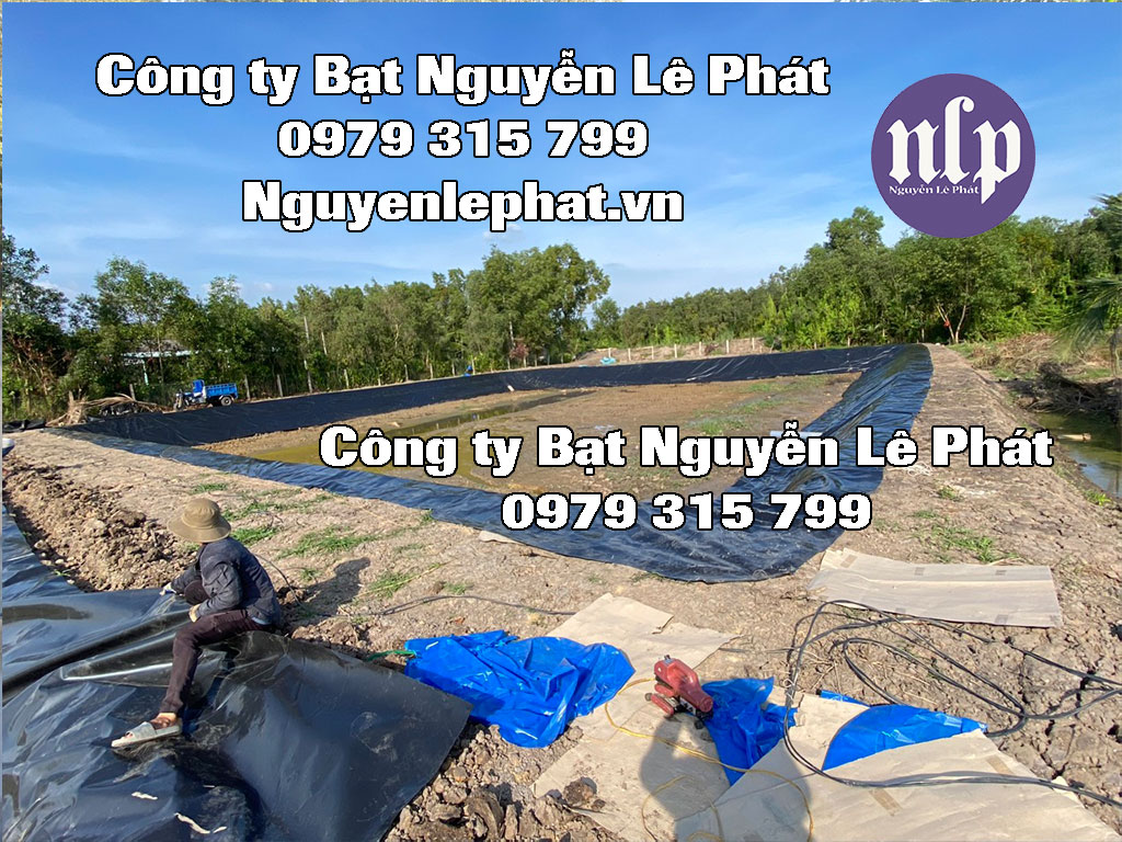 bat-lot-ao-ho-nuoi-tom-ca.jpg bat-lot-ao-ho-nuoi-tom-ca.jpg