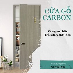 cửa gỗ carbon.jpg