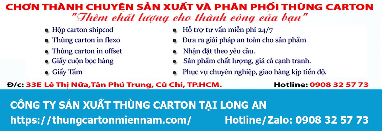 gioi-thieu-cong-ty-san-xuat-thung-carton-tai-Long-An.jpg