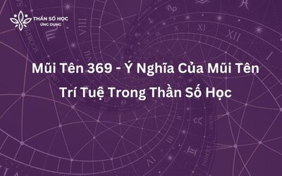 Mũi Tên 369 - Ý Nghĩa Của Mũi Tên Trí Tuệ.jpg