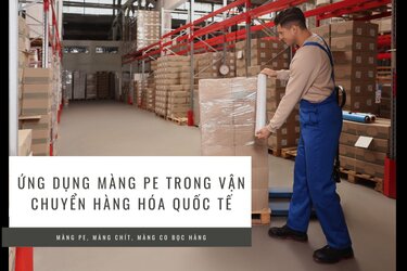 Ung-dung-mang-pe-trong-van-chuyen-hang-hoa-quoc-te.jpg