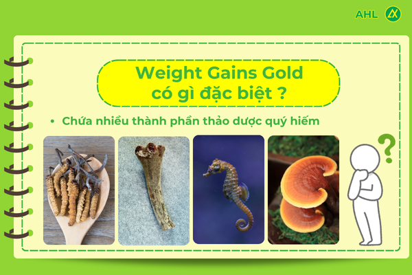 vien-uong-tang-can-weight-gains-gold-co-gi-dac-biet.png