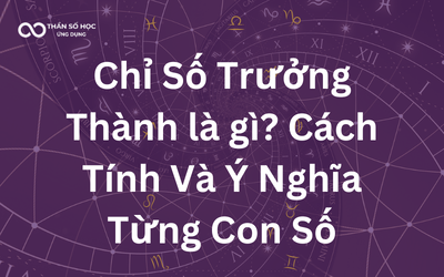 Chi-So-Truong-Thanh-la-gi.png