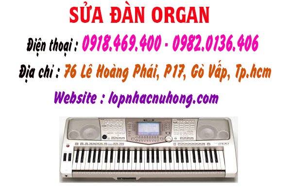 sua dan organ go vap 6.jpg