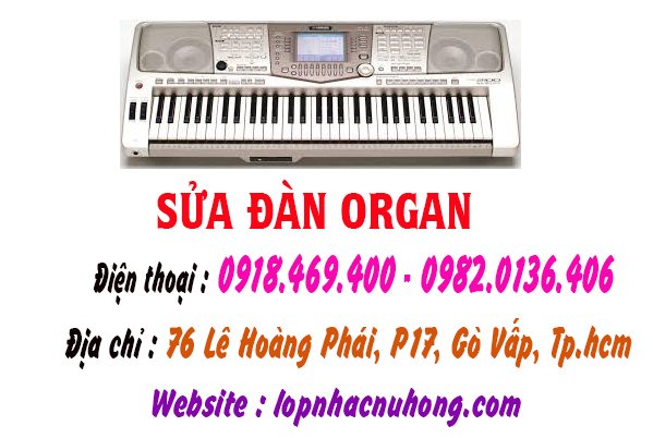 sua dan organ go vap 7.jpg