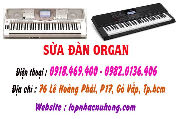 sua dan organ go vap 8.jpg