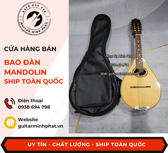 bao-dan-mandolin (1).png