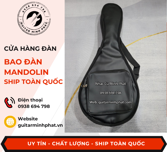 bao-dan-mandolin (2).png