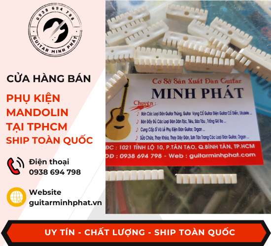 phu-kien-mandolin-ngua-moc-day (2).png