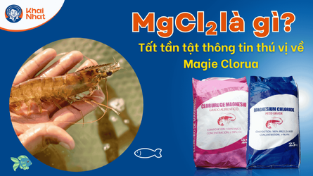 mgcl2-thumbnail.png