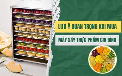 Luu-y-quan-trong-khi-mua-may-say-thuc-pham-gia-dinh.jpg