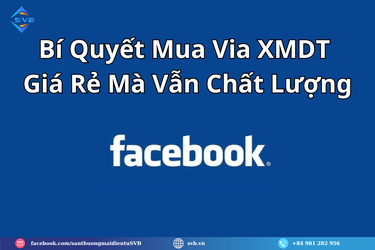 Bí Quyết Mua Via XMDT Giá Rẻ Mà Vẫn Chất Lượng.png