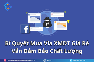Bí Quyết Mua Via XMDT Giá Rẻ Vẫn Đảm Bảo Chất Lượng.png
