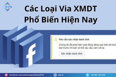 Các Loại Via XMDT Phổ Biến Hiện Nay.png