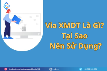 Via XMDT Là Gì Tại Sao Nên Sử Dụng.png