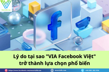 Lý do tại sao VIA Facebook Việt ngày càng trở thành lựa chọn phổ biến.png