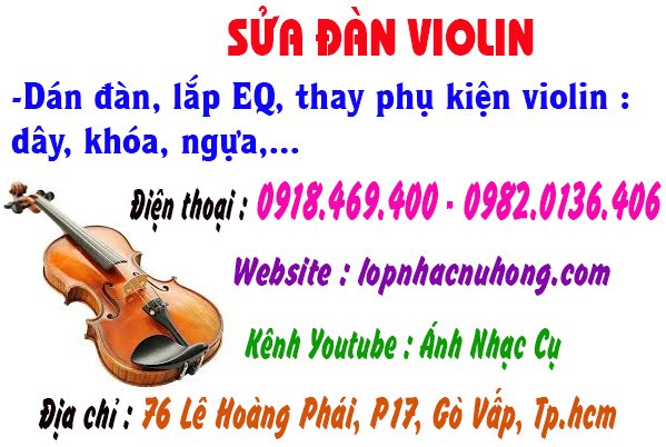 sua dan violin go vap 5.jpg