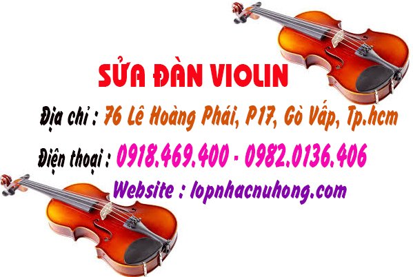 sua dan violin go vap 10.jpg