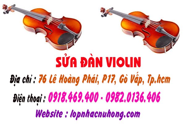 sua dan violin go vap 9.jpg