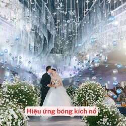 hieu-ung-bong-bay-kich-no-dam-cuoi.jpg