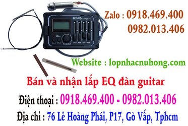 eq guitar b12.jpg