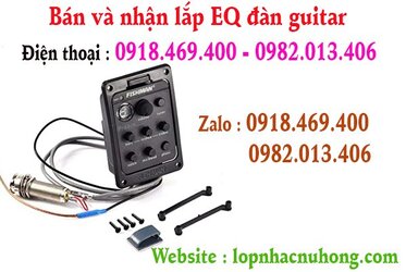 eq guitar fishman go vap.jpg