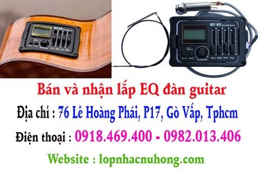 eq guitar sai gon.jpg