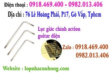 luc giac chinh can guitar dien.jpg