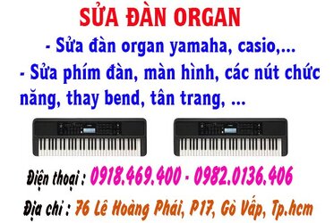 sua dan organ go vap 2.jpg