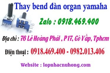 thay bend organ go vap.jpg