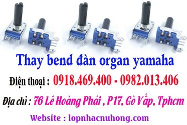 thay bend organ sai gon.jpg