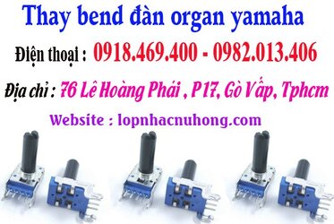thay bend organ tphcm.jpg