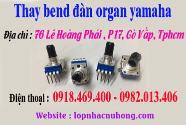 thay bend organ.jpg