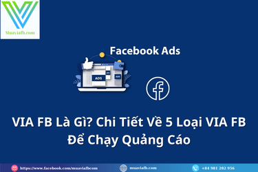 VIA FB Là Gì_ Chi Tiết Về 5 Loại VIA FB Để Chạy Quảng Cáo.png