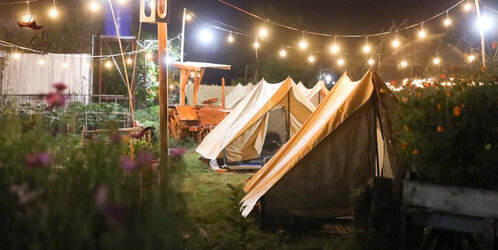 vo_song_farm_camping.jpg