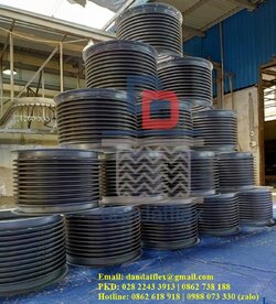khop-chong-rung-DN200-269.jpg