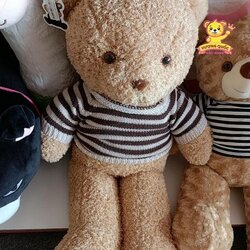 gau-bong-teddy-long-to-cao-cap-2.jpg