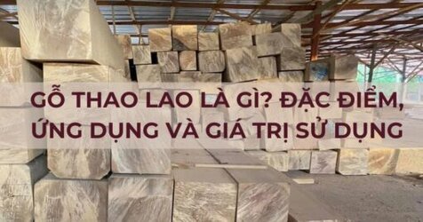 Go-Thao-Lao-la-gi-Dac-diem-ung-dung-va-GIA-TRI-su-dung-510x268.jpg