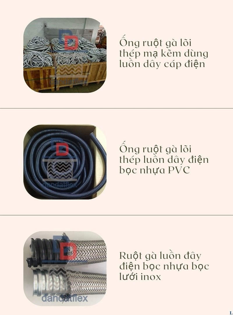 ong-ruot-ga-145.jpg ong-ruot-ga-145.jpg