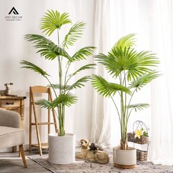 cay co gia decor dep mat.jpg