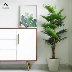 cay co gia decor doc dao.jpg