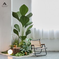 cay co gia decor dep.jpg